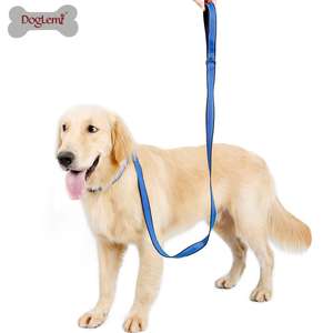 Delux-Juego de correa reflectante para perros, correa de nailon para mascotas con asa acolchada y luces duraderas - Product Image 3