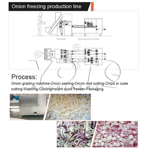 Maquinaria para el Procesamiento de Alimentos Congelados, Línea de Procesamiento Automática de Acero Inoxidable para Guisantes y Verduras, Capacidad de 300 kg/h - Product Image 2