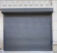 Puerta Enrollable Aislada de Aluminio Plateado, Puerta Enrollable Automática para Garaje con Control Remoto, Tamaño Personalizado