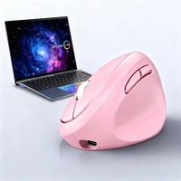 Souris sans fil verticale ergonomique en forme d'œuf avec capteur optique, recharge USB, double mode, silencieuse, pour le bureau