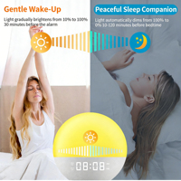 Réveil Lumineux Simulateur d'Aube avec Radio FM, Sons Apaisants et Bruit Blanc, Lampe de Nuit 7 Couleurs, Double Alarme, Fonction Snooze, Alimentation USB, en Plastique