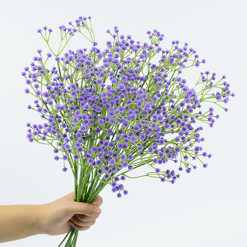 violet foncé