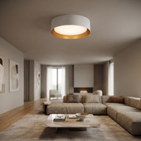 Plafonnier LED moderne Worbest 15 pouces, CCT changeable, certifié ETL/cETL, pour salon et chambre, CRI 80, construction en acier et plastique