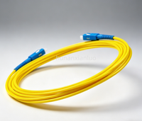 Câble de raccordement en fibre optique monomode SC Simplex UPC SM 2,0 mm 3,0 mm FTTH