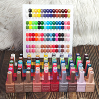 Kit de collection de vernis gel 60 couleurs, une bouteille par couleur, avec base et top coat, application fluide, OEM ODM personnalisable disponible