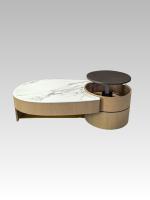 Nouvelle tendance, table basse moderne minimaliste en pierre artificielle 3D, MDF en placage de bois et laque métallique, plateau réglable avec rangement