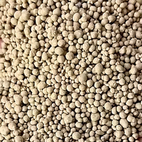 Granulateur à disques pour engrais, machine de granulation pour la fabrication de granulés d'engrais organiques et d'engrais composés