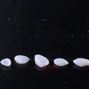 Restauro di protesi dentarie digitali porcellane in ceramica impiallacciatura di vetro più sottile impiallacciatura fissa - Product Image 3