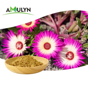 AMULYN Pure Kanna Powder Kanna Sceletium Tortuosum <strong>Extract</strong> 50:1,100:1 - Product Image 1
