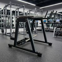 Équipement de fitness pour salle de sport : Banc de musculation pour hyper-extension inversée, Machine à flexions dorsales et à extension des jambes allongées