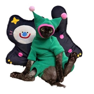 Automne hiver vêtements pour animaux de compagnie à quatre pattes dinosaure inspiré vêtements de <span class=keywords><strong>chat</strong></span> sans poils pour <span class=keywords><strong>Sphinx</strong></span> chats protection en Polyester Nylon - Product Image 1