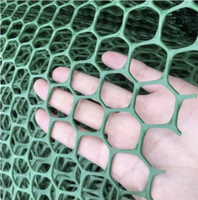 Géogrille en plastique HDPE, résistance aux hautes températures, certifiée ISO9001, pour la protection des pentes raides et les travaux de terrassement routier