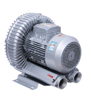 Souffleur électrique turbo 2,2 kW, ventilateur vortex à anneau d'air haute pression pour le traitement de l'eau, triphasé 220 V, diffuseur à disque personnalisable OEM
