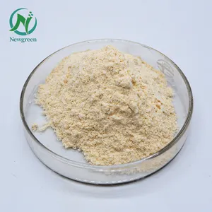 Newgreen Supply Hot Sale Psyllium Husk Powder Psyllium Husk Extract