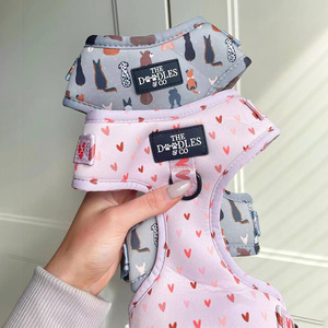 Aksesori Hewan Peliharaan Logo Kustom dan Desain Kalung <span class=keywords><strong>Harness</strong></span> Tali Anjing Kucing Anak Anjing Kecil dengan Cincin D - Product Image 1