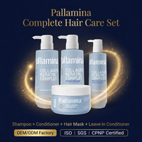 [Certifié GMPC] Ensemble de soins capillaires professionnels Pallamina au collagène et à la kératine pour réparer en profondeur les cheveux abîmés et secs (Marque privée / OEM)