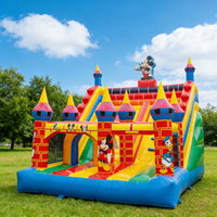 Château gonflable en PVC à thème de dessin animé pour usage domestique avec toboggan intégré, idéal pour la location, structure de saut pour enfants 4x6m, capacité 500KG, installation facile