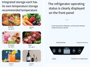 <span class=keywords><strong>Frigorifero</strong></span> <span class=keywords><strong>a</strong></span> cassetto portatile per auto e camion, con <span class=keywords><strong>compressore</strong></span> DC <span class=keywords><strong>12V</strong></span> 24V - Product Image 6