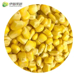 Cvorn para la venta IQF congelado a granel dulce amarillo grano de maíz precio secado liofilizado granos de maíz