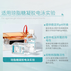 Labshark Tae Buffer 500 ml Estéril para Electrophoresis en Gel de Agarosa para ADN - Product Image 4