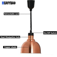 Lampe chauffante suspendue en acier inoxydable Heavybao pour buffet, cuisine, équipement de restauration, design télescopique.