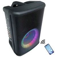 1000 W 8 "Portable professionnel Audio guitare extérieur PA système de haut-parleurs boîte de son avec batterie Rechargeable LED lumières BT Echo