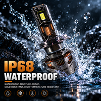 Systèmes d'éclairage automobile RCJ S17 100W, vente en gros d'usine, ampoules de phares LED pour voitures, H8 H9 H11 LED