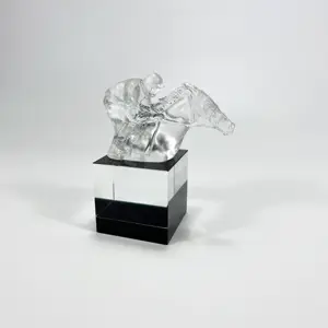 Hitop trofeo di cristallo K9 commemorativo di alta qualità personalizzato, trofeo di cristallo cavallo di cristallo scritta trofeo ad alta trasparenza
