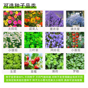 Cartes de visite en papier grainé personnalisées, forme irrégulière, biodégradables, cartes promotionnelles, invitations de mariage, design personnalisé, Zhejiang - Product Image 3