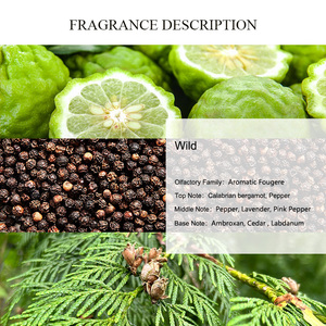 UNIQUE AROMA Perfume Wild Men, Perfume Concentrado de Diseñador, Fragancia en Aceite, Aceite Esencial Puro para Aromaterapia - Product Image 2