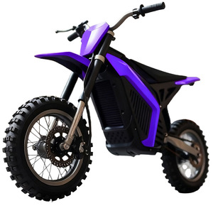 COOLRIDER EDB002, Sistema Inteligente de Gestión de Energía con Monitoreo de 24 Horas, Seguridad para el Hogar, Transporte Urbano, Motocicleta de 48V - Product Image 2