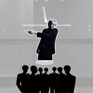 Idol KPOP DESIREUNLEASH <span class=keywords><strong>NIKI</strong></span> JAKE JAY Jungwon Sunoo Sunghoon Heeseung Standee en plastique transparent acrylique, taille personnalisée, CMYK - Product Image 3