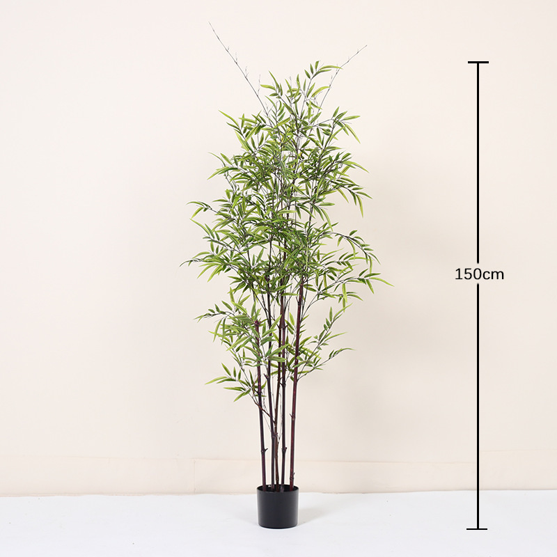 Bonsaï bambou violet 150CM