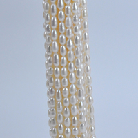 Perles d'eau douce naturelles blanches de 5-6 mm, forme de riz, haute qualité, lueur intense, brins impeccables