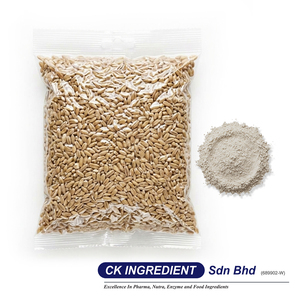 Poudre d'orge de qualité supérieure, base de boisson céréalienne naturelle, ingrédient soluble en poudre, aliment santé pour les repas quotidiens, support OEM ODM - Product Image 3
