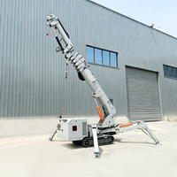 Grue mobile électrique et diesel Tonlita CE EPA EURO 5, petite grue araignée portable avec flèche de rehaussement et ventouse pour verre