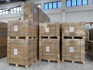 Panel Solar Tipo N de Doble Vidrio TSM-580NEG19RC.20, 585W 590W 595W 600W 605W 610W, Precio - Product Image 6
