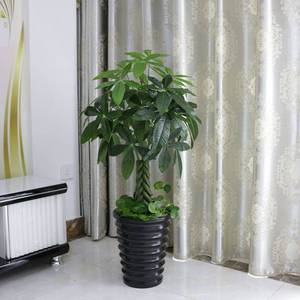 Pianta di simulazione in vaso albero della fortuna artificiale grande pianta verde finta plastica ornamenti soggiorno decorazione d'interni del pavimento - Product Image 2