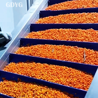 Omega-vetzuren/flavonoïden/natuurlijk ingrediënt voor gezonde dranken en voedzame voedingsmiddelen/diepvriesfruit/diepvries duindoorn
