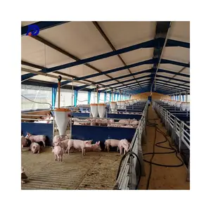 Estructura de acero prefabricada granja casa edificio acero cerdo casa construcción prefabricada granja refugio para cerdo