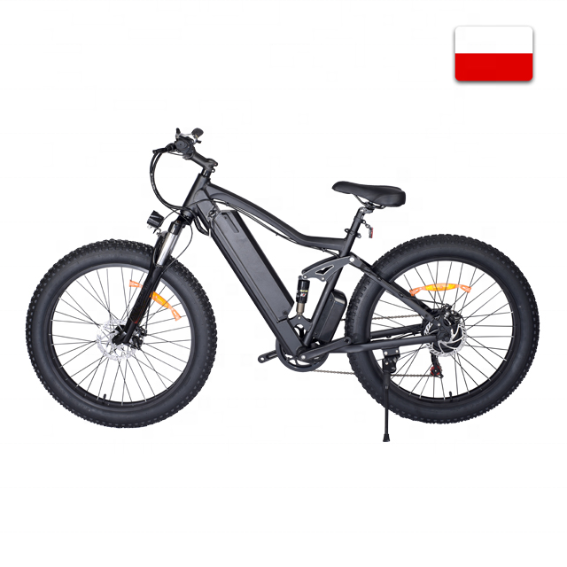 Best Selling Romai E Bike High-Performance Electric Bikes