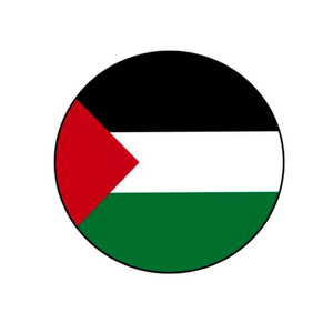 卡通风格3厘米圆形巴勒斯坦国旗金属徽章马口铁别针国旗标志胸针服装配件 - Product Image 1