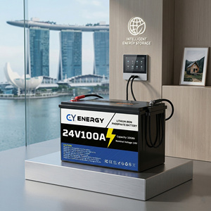 Batterie au lithium LiFePO4 24V 100Ah 2,56 kWh certifiée UL, durée de vie de 10 ans, livraison rapide, pour camping-car, marine, hors réseau (Stock US) - Product Image 1