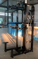 Máquina de Dominadas Asistidas para Gimnasio Comercial, Equipo de Entrenamiento de Espalda