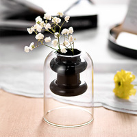 Vase en verre borosilicate double couche coloré, bouteille d'aromathérapie sans flamme, transparente, pour hydroponie, décoration de table, style nordique