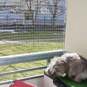 %100 Saf Naylon Monofilament Şeffaf Güvenlik Filesi, Apartman Balkonu için Görünmez Evcil Hayvan Filesi, Kedi Filesi - Product Image 3