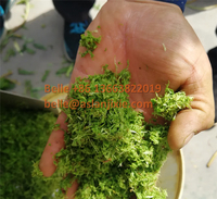 Druivenschroef Fruit Extract Squeeze Machine Spiraal Sap Extractor Wortelsap Citroen Juicer Machine