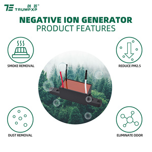 Trumpxp высокая плотность аниона-20 кВ 100 млн шт/куб. См генератор отрицательных ионов - Product Image 3