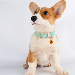 Rarewe, suministros para mascotas, <span class=keywords><strong>Collar</strong></span> de cuero para perros, logotipo personalizado, <span class=keywords><strong>Collar</strong></span> de lujo para perros, <span class=keywords><strong>Collar</strong></span> de entrenamiento para perros medianos y pequeños - Product Image 4