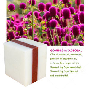 <strong>Soap</strong> Manufacturers 100g Handmade Natural Organic Hotel Home Used Cold Pressed <strong>Soap</strong> - Product Image 3